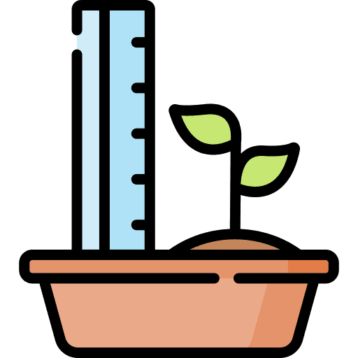 Observation observation nature sprout icon Observation observation nature sprout icon