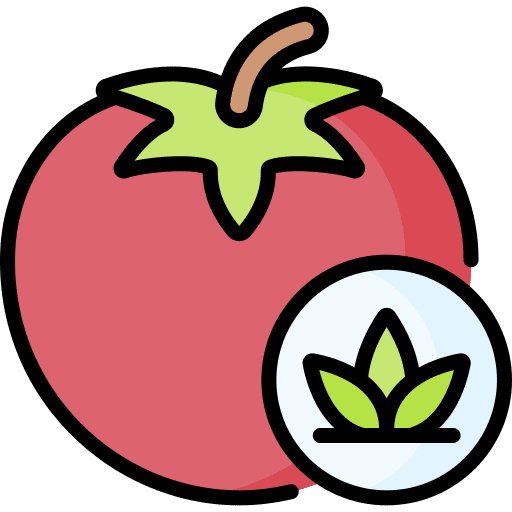 Tomato vegan food and restaurant fruit icon Tomato vegan food and restaurant fruit icon
