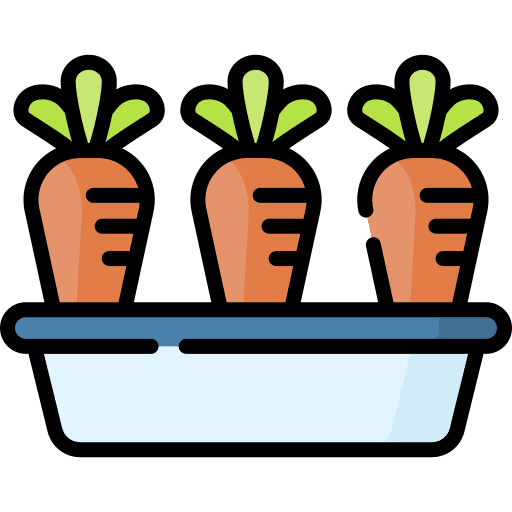 Carrot healthy food food vegetarian icon Carrot healthy food food vegetarian icon