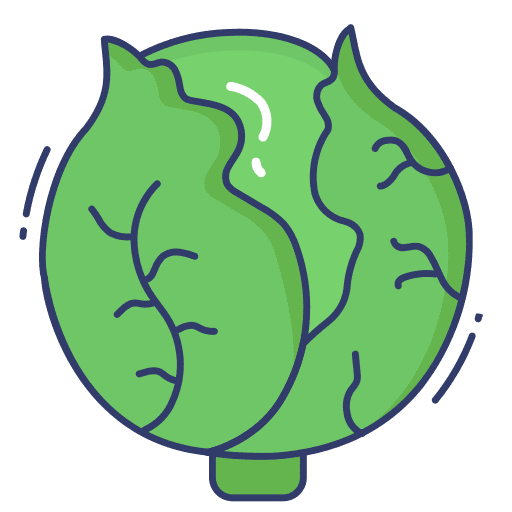 Cauliflower food diet cauliflower icon