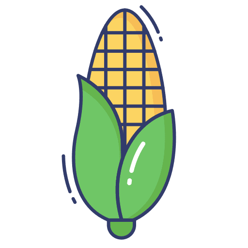 Corn food cereal vegetable icon