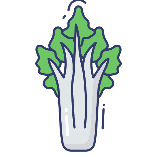 Asparagus diet vegetarian asparagus icon