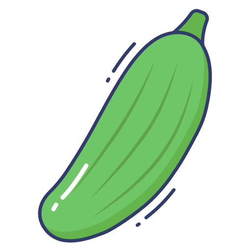 Courgette organic vegetable diet icon