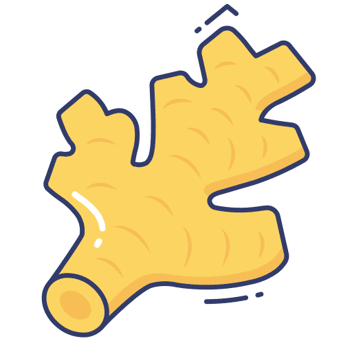 Ginger food and restaurant vegan organic icon