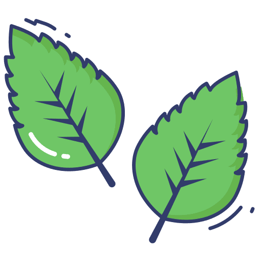 Kale vegetable food and restaurant leaf icon