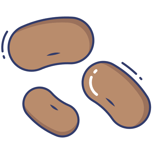 Peanuts nut healthy food vegan icon