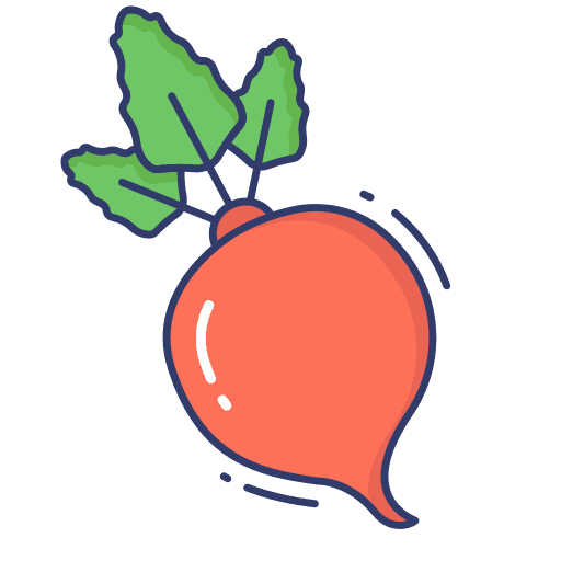 Radish vegetable organic food icon