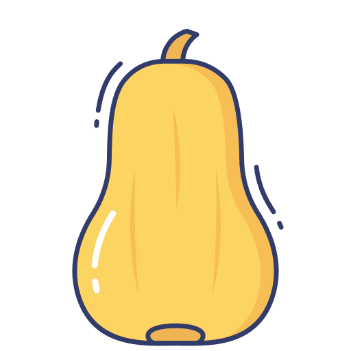 Squash diet nutrition squash icon
