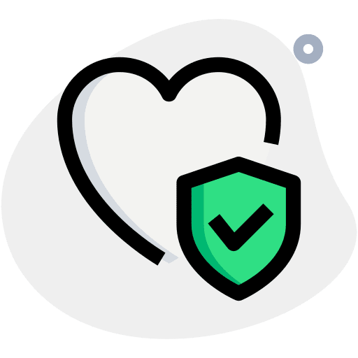 Health insurance check shield security icon