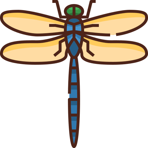 Dragonfly dragonfly animals zoology icon