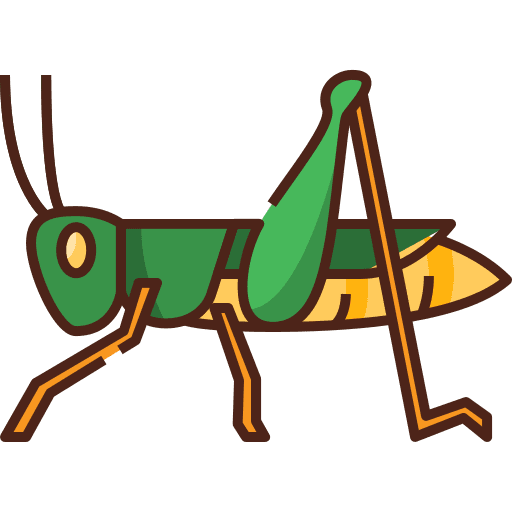 Grasshopper insects grasshopper animal kingdom icon
