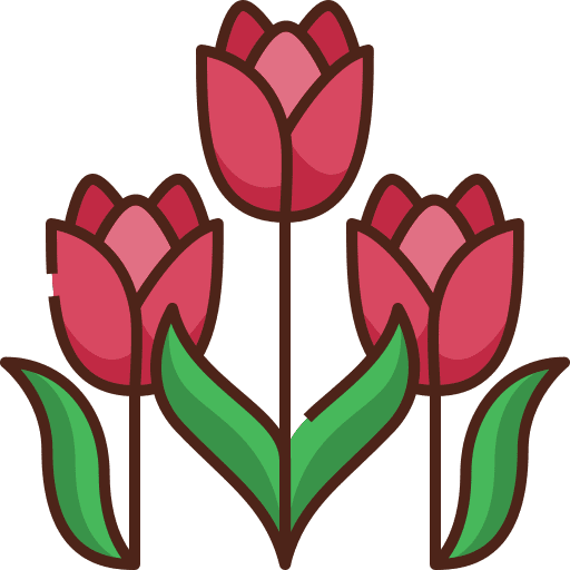 Tulip bloom spring nature icon