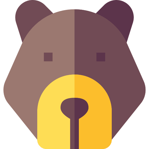 Bear animals zoology wildlife icon