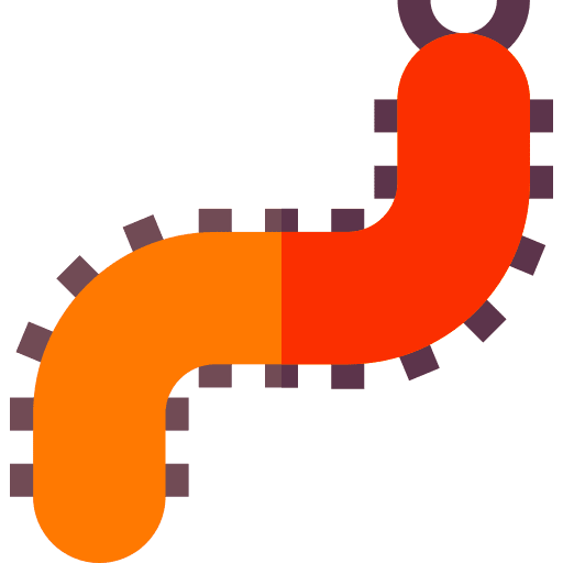 Centipede insect centipede animals icon