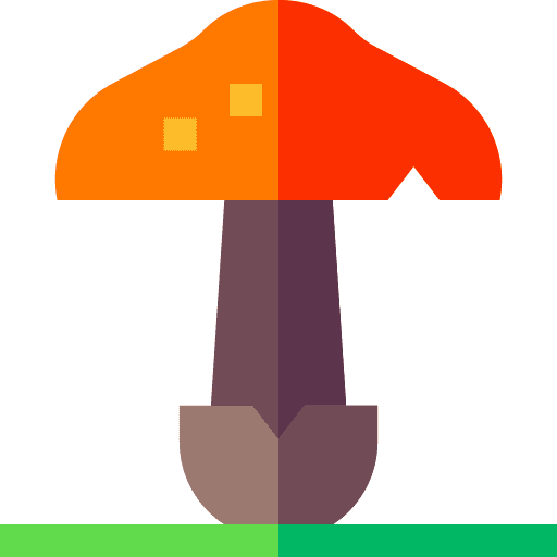 Mushroom vegan season plant icon