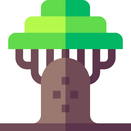 Baobab safari africa jungle icon