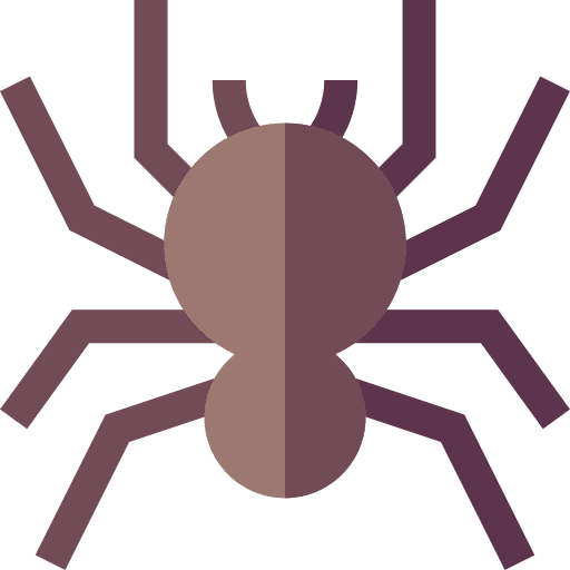 Spider animals spider insect icon