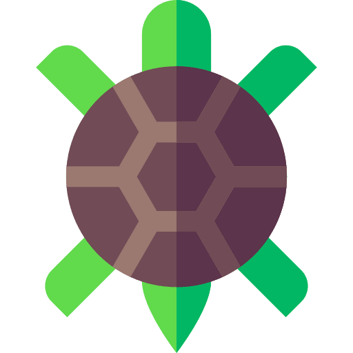 Turtle aquatic turtle aquarium icon