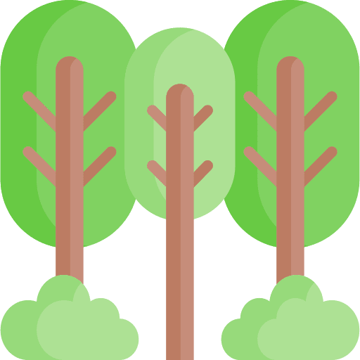 Forest woodland landscape pines icon