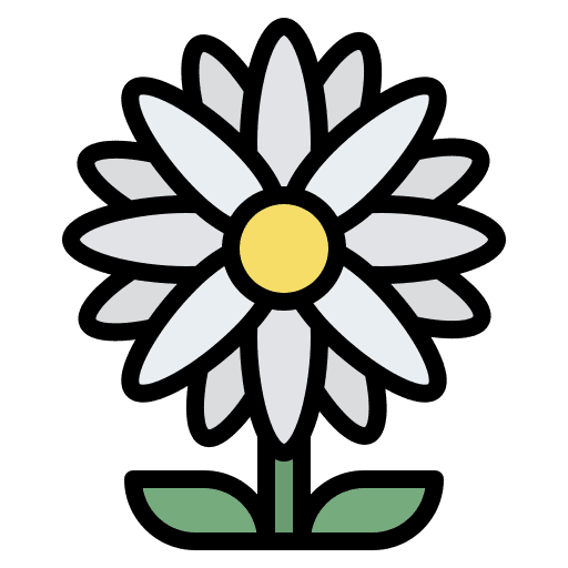 Daisy garden daisy nature icon