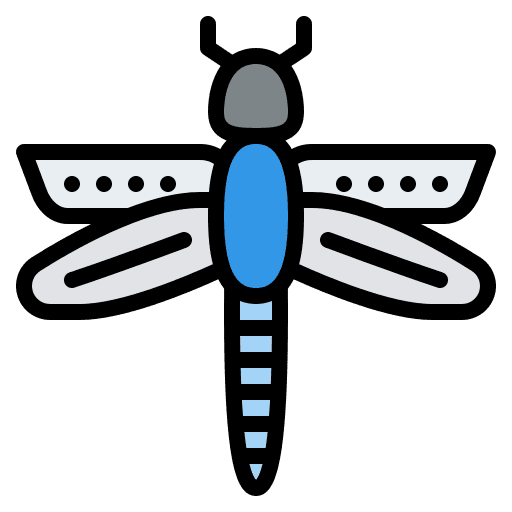 Dragonfly bug insect dragonfly icon