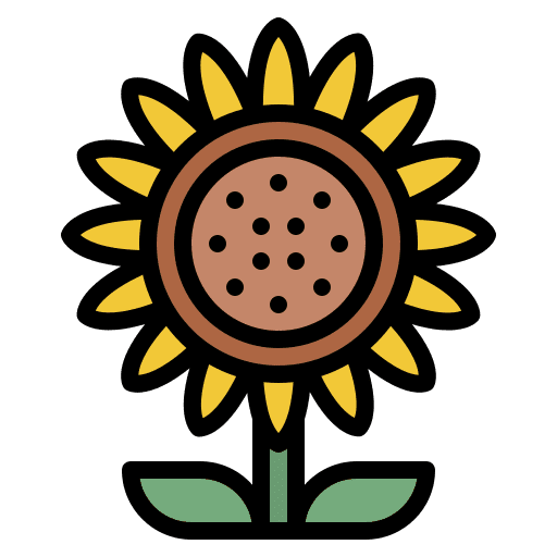 Sunflower blossom season petals icon