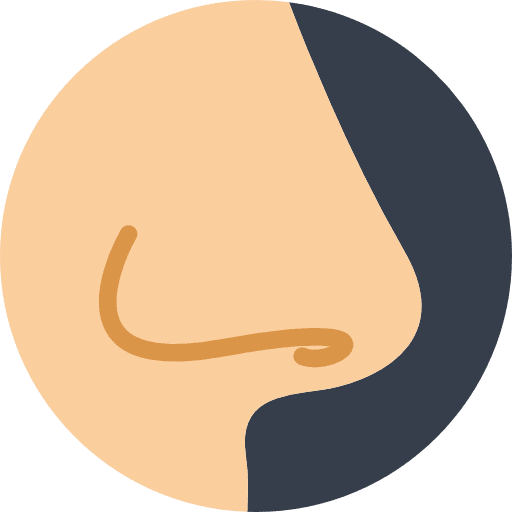 Nose face body parts smell icon