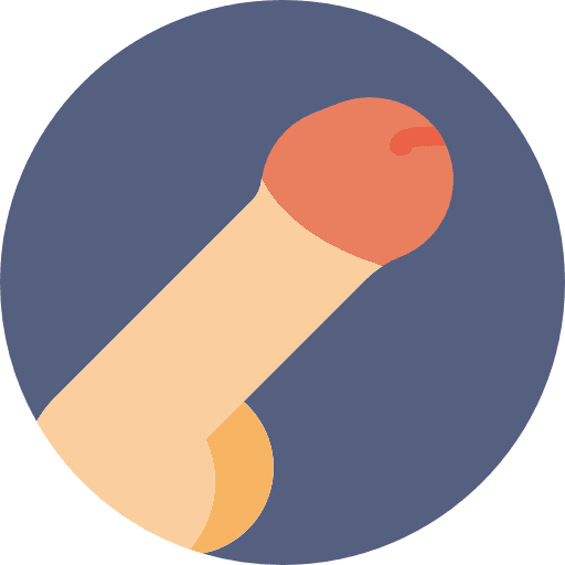 Penis anatomy reproductive system urology icon