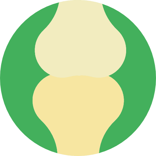 Articulation articulation anatomy medical icon