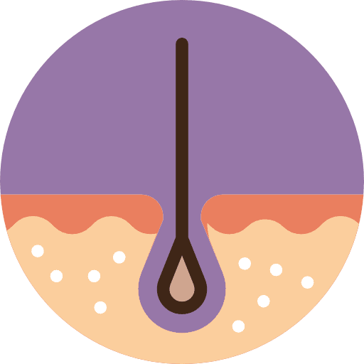 Epidermis dermathology hair epidermis icon