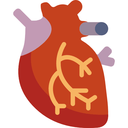 Heart body parts transplant organ icon