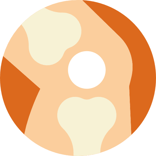 Knee anatomy joint bone icon