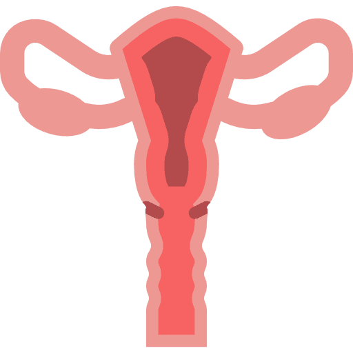 Uterus uterus female organs fallopian tubes icon