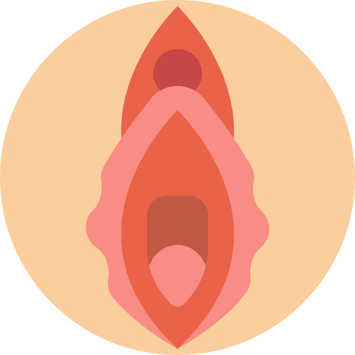 Vagina gynecology vagina anatomy icon