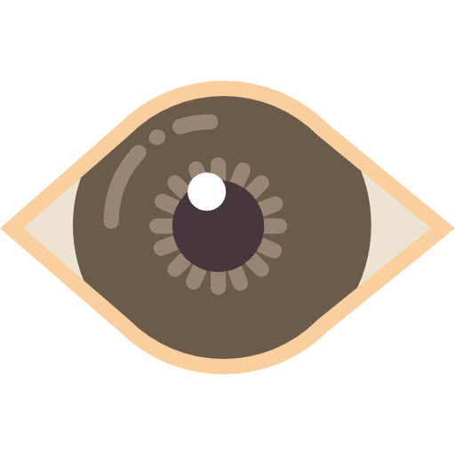 Iris eye spiral random icon