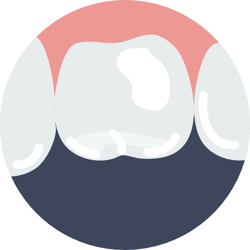 Molar dentist dental molar icon