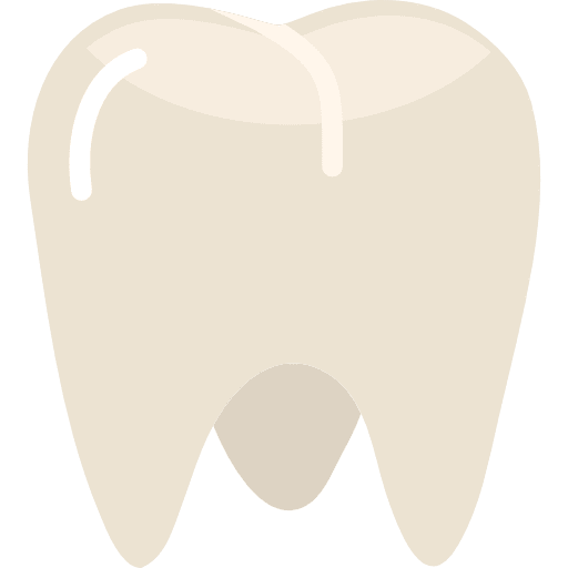 Molar dentist medical tooth icon