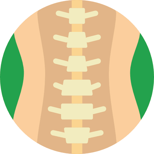 Spinal column spinal column body parts chiropractic icon