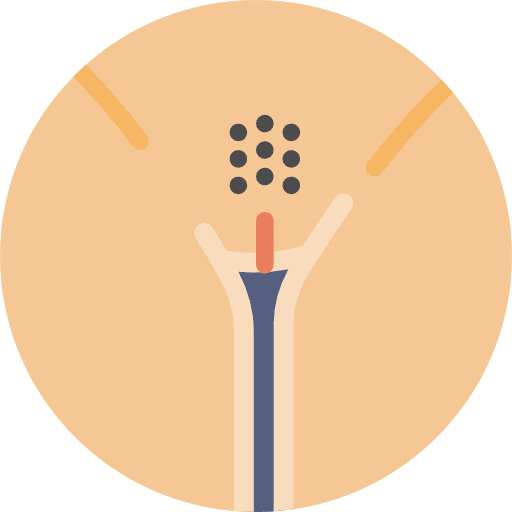 Vagina vagina reproductive system anatomy icon