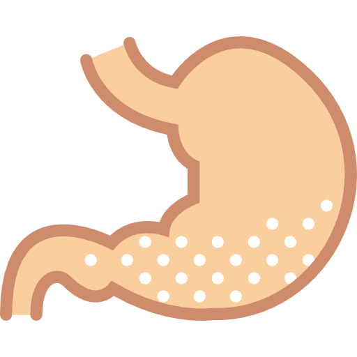 Stomach acid body parts stomach icon