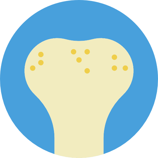 Bone medical bone body parts icon