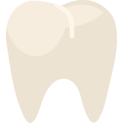 Premolar teeth dental tooth icon