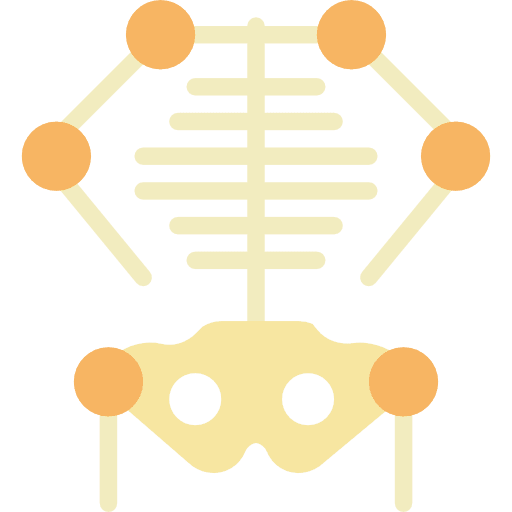 Skeleton body parts medical anatomy icon