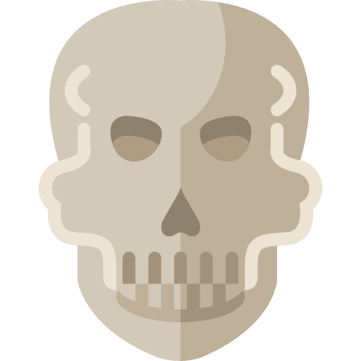 Skull dangerous skull signs icon