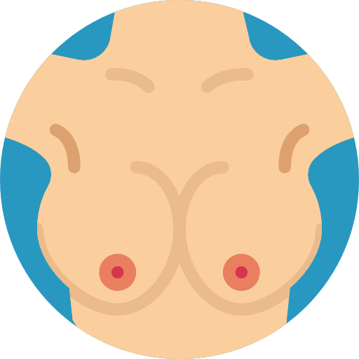 Breast anatomy female woman icon