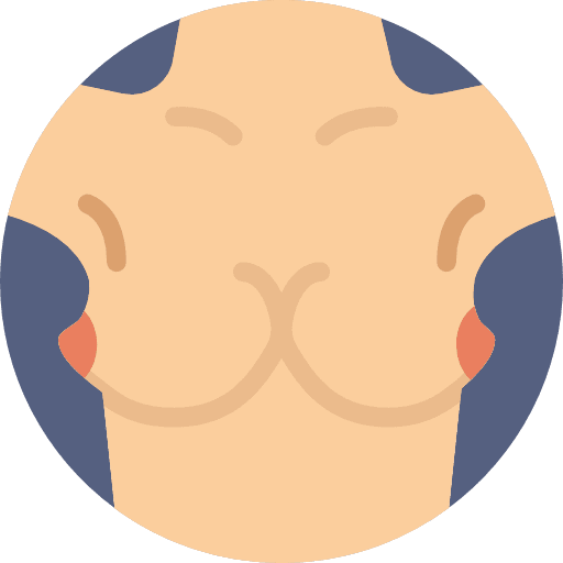 Breast bust woman anatomy icon