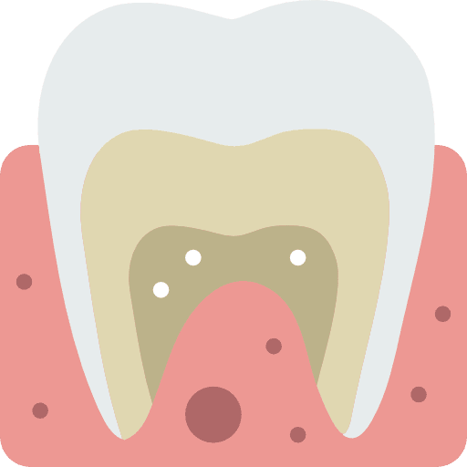 Tooth dentist tooth molar icon