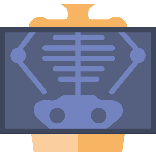 X ray bones skeleton radiology icon