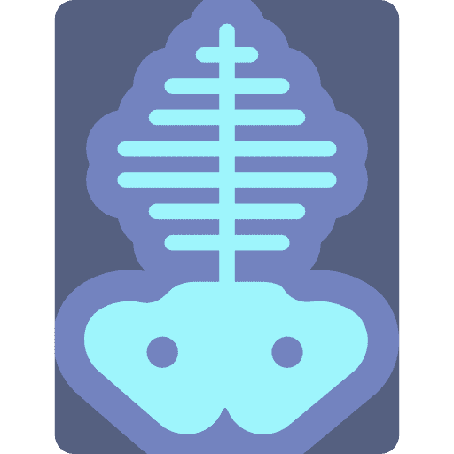 X ray medical skeleton x rays icon