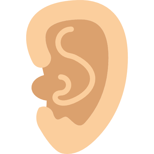 Ear ear medical anatomy icon